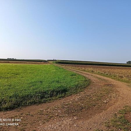 Vila Dom Z Ogrodem Laka  Exteriér fotografie