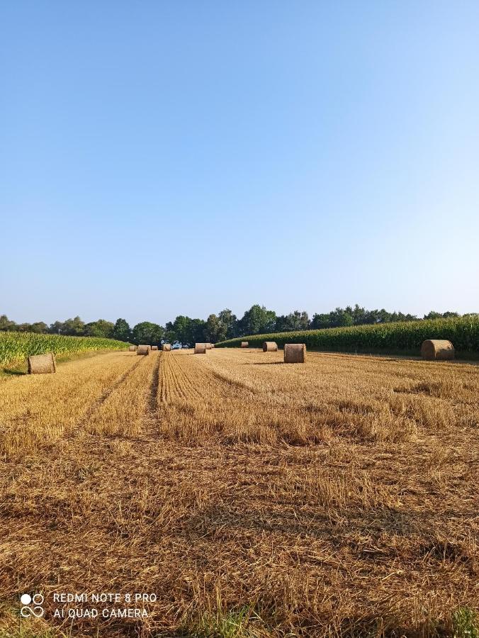 Vila Dom Z Ogrodem Laka  Exteriér fotografie