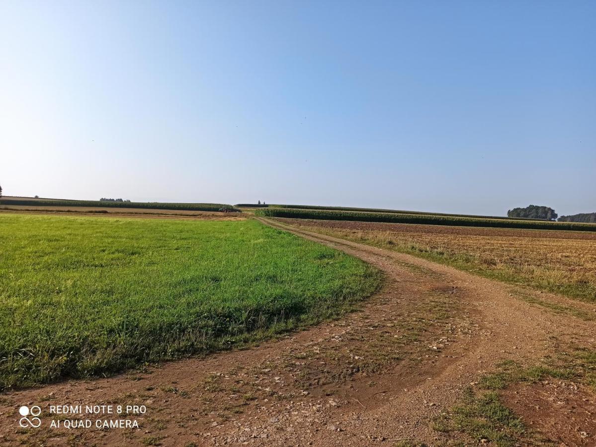 Vila Dom Z Ogrodem Laka  Exteriér fotografie
